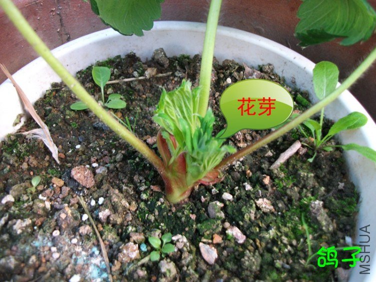 DSCF3009_����.jpg