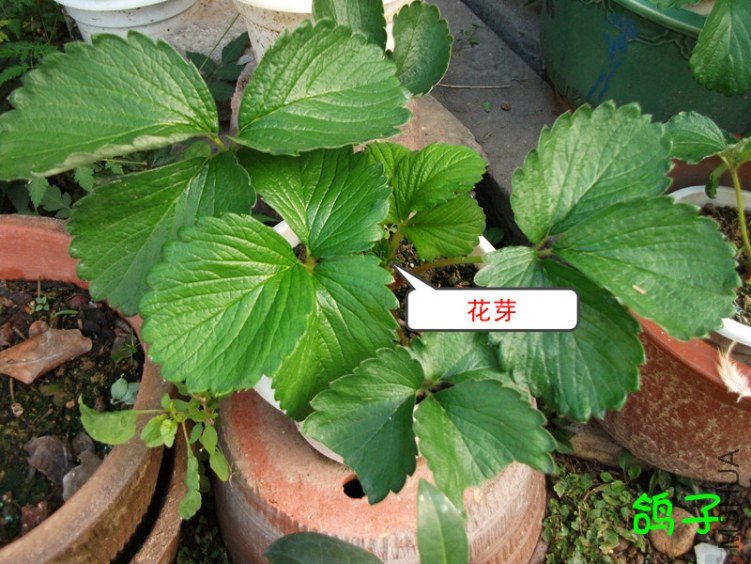 DSCF3020_����.jpg