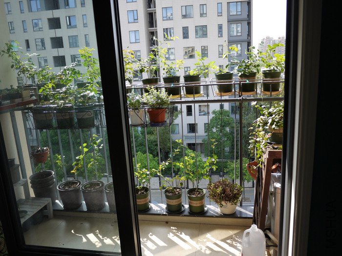 P1000433.jpg
