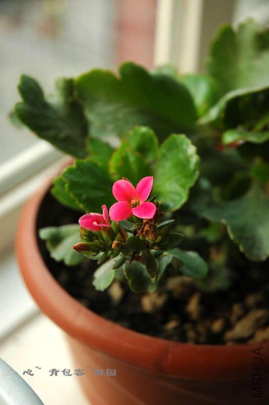 ����һ�裬��������˺ܶ�