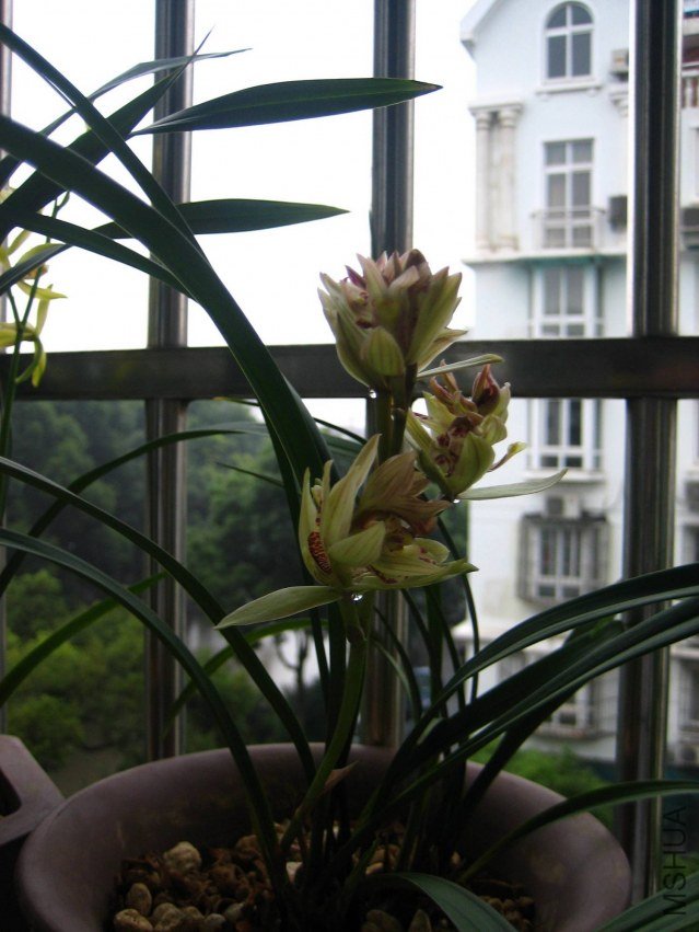 IMG_0898.jpg