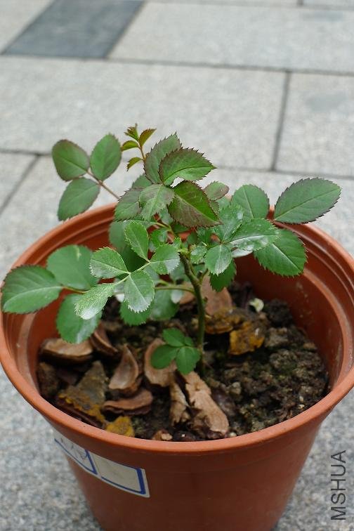 P1010104.JPG