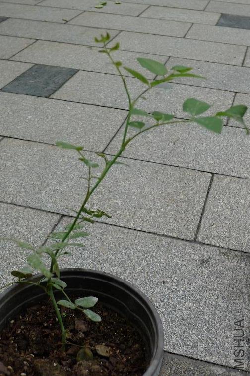 P1010106.JPG
