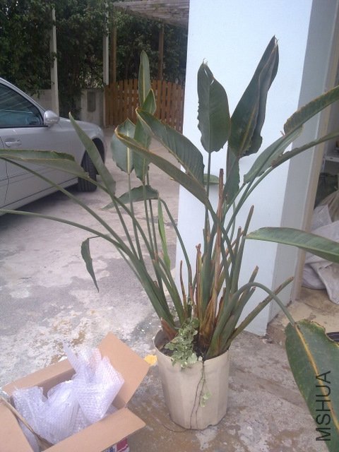 201110292250.jpg