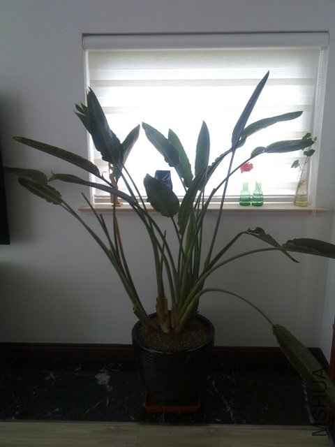 201110292254.jpg