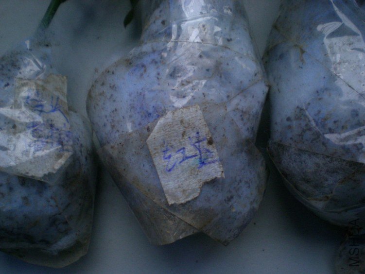 DSCN4657.jpg