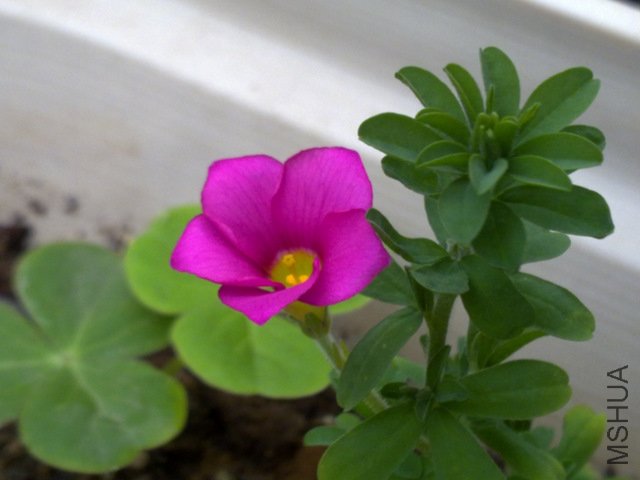 201110292244.jpg