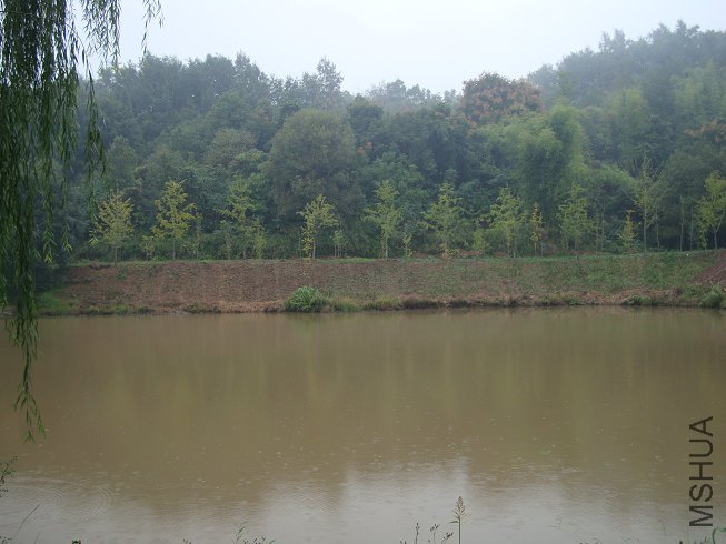 DSC04900.jpg