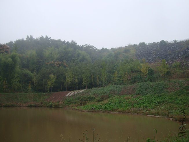 DSC04901.jpg