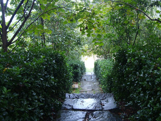 DSC04910.jpg