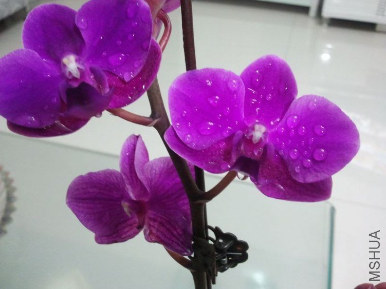2011-10-27 20.29.59.jpg