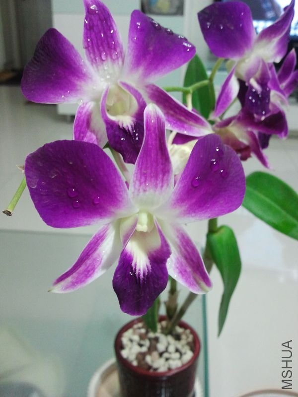 2011-10-27 20.33.15.jpg