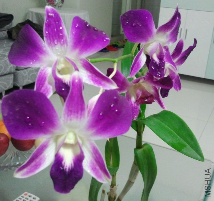 2011-10-27 20.34.19.jpg