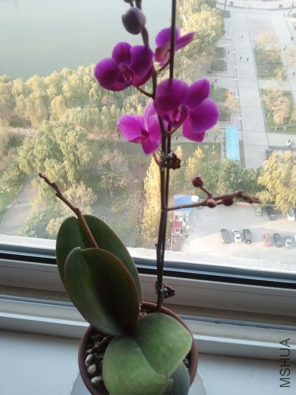 2011-10-28 16.27.53.jpg