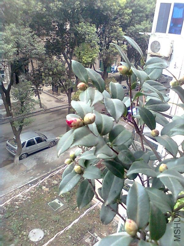 ͼ��0232.jpg