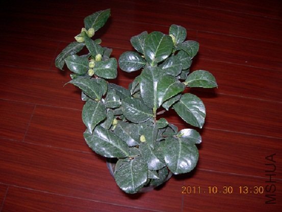 DSCN0689.JPG