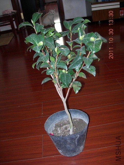 DSCN0690.JPG