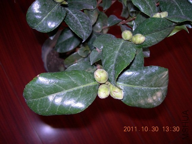DSCN0692.JPG
