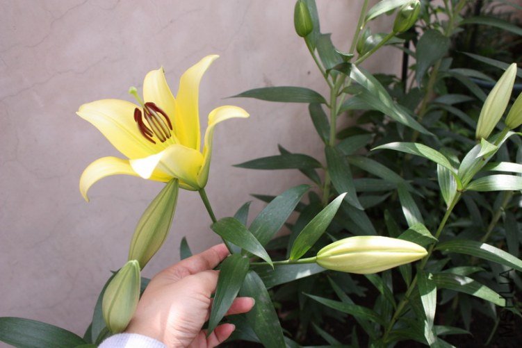 2011103106.jpg