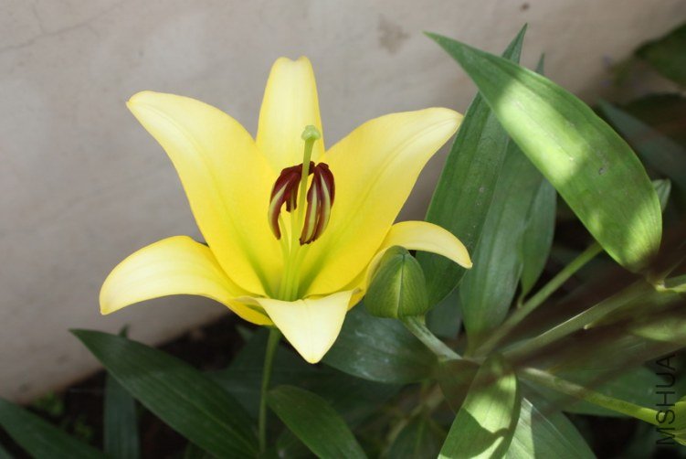 2011103101.jpg