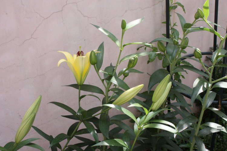 2011103102.jpg