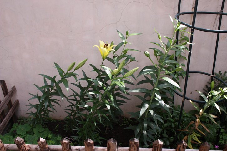 2011103104.jpg