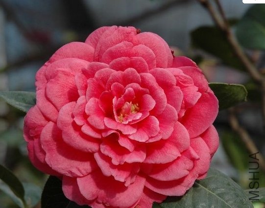 QQ��ͼ20111031121449.jpg