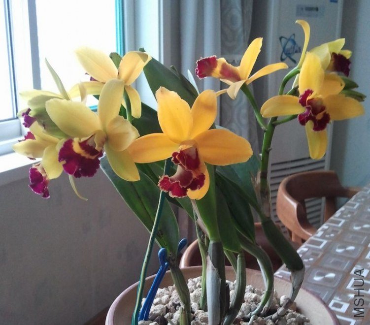 2011-10-31 15.42.52.jpg