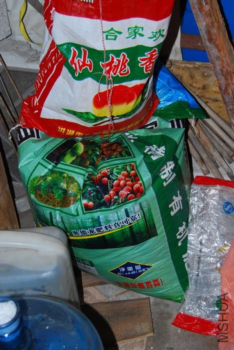 nEO_IMG_��Ƭ 1151.jpg