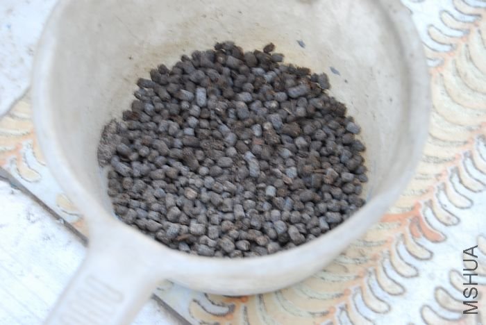 nEO_IMG_��Ƭ 1153.jpg