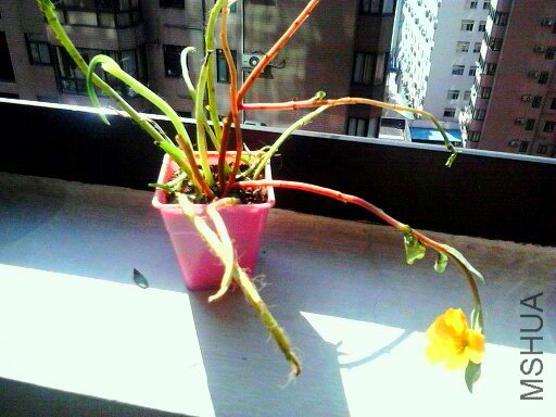 1320110353460.jpg