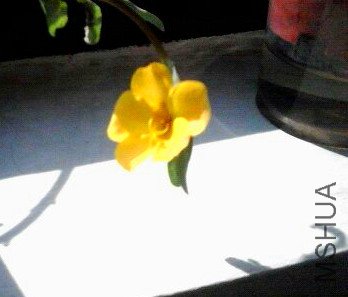 1320110365918.jpg