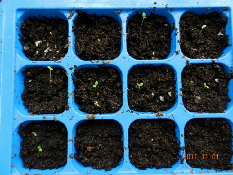 ���� ���� 050.jpg