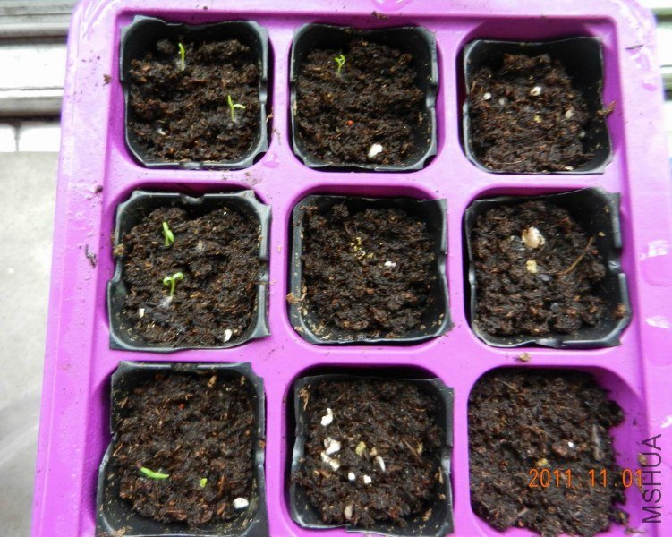 ���� ���� 042.jpg