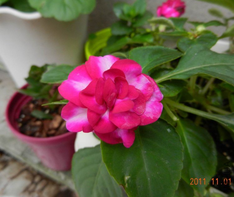 ���� 063.jpg