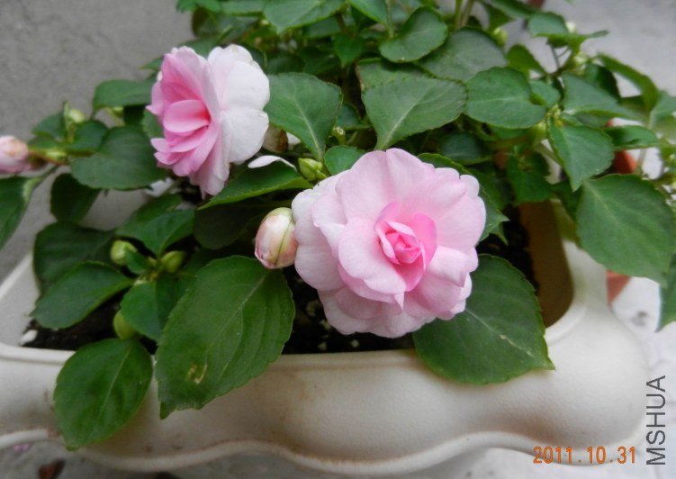 ���� ���� 004.jpg