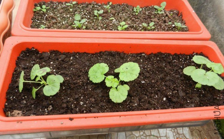 ���� ���� 068.jpg