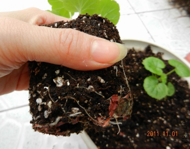 ���� ���� 065.jpg