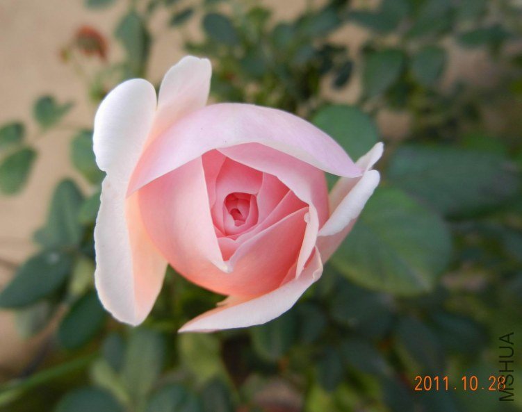 ���� ���� 006.jpg