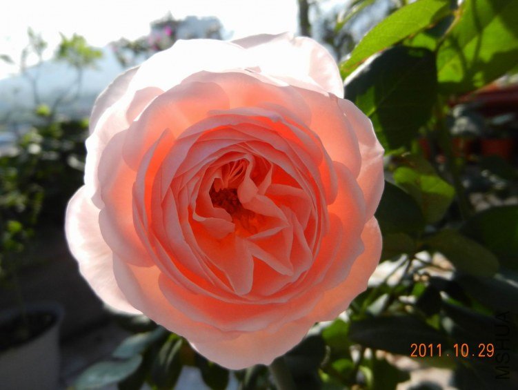 ���� ���� 022.jpg