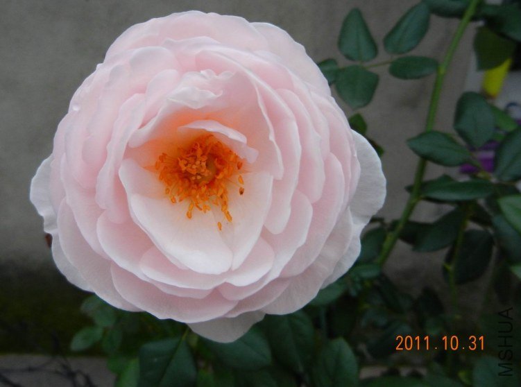 ���� ���� 030.jpg