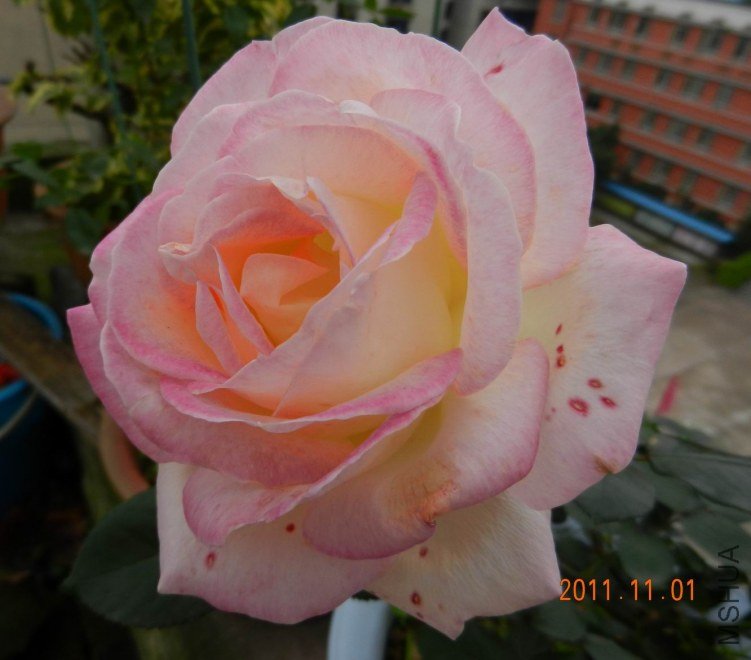 ���� ���� 062.jpg