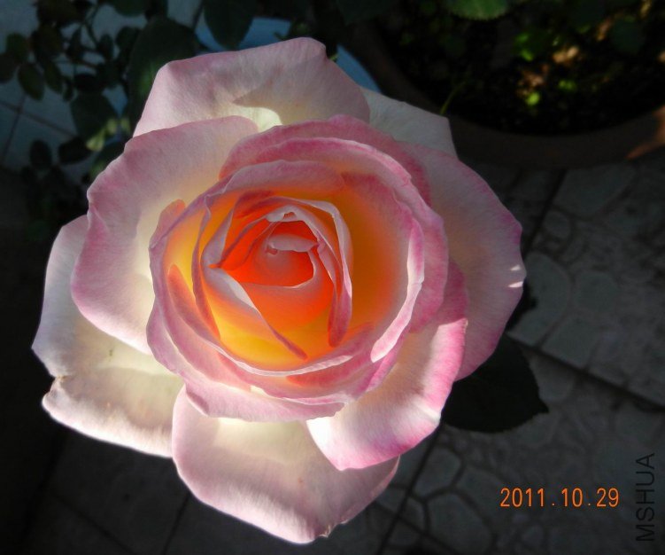 ���� 013.jpg