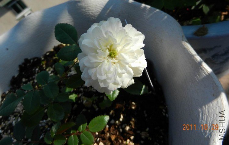 ���� ���� 007.jpg