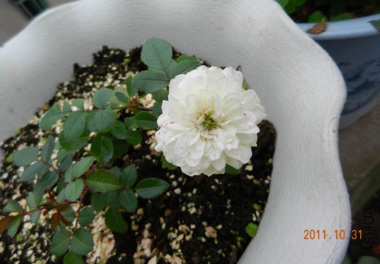 ���� 001.jpg