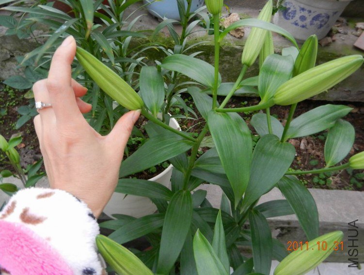 ���� ���� 002.jpg