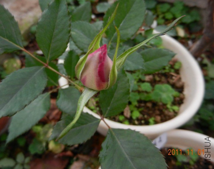 ���� ���� 057.jpg