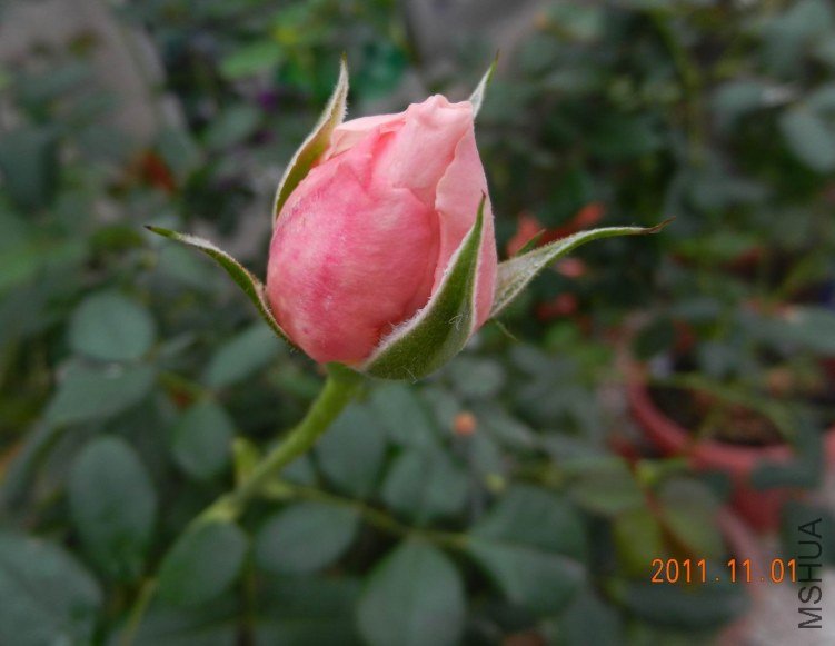 ���� ���� 059.jpg