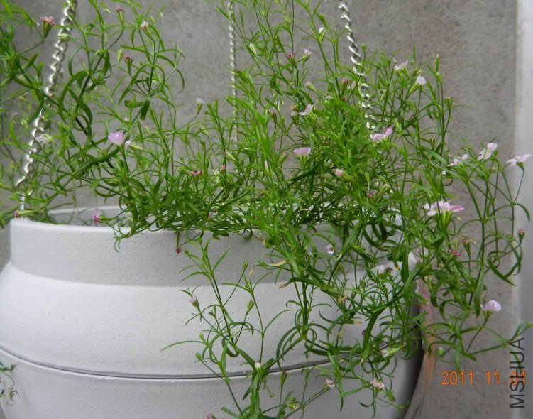 ���� ���� 045.jpg