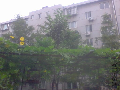 ˿�ϼ��Ϸ�����������